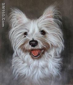pet portrait paintings