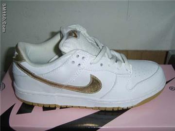 nike jordan af1 dunk