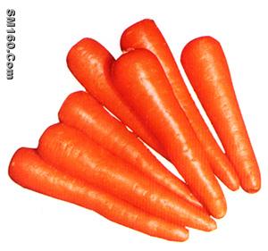 Carrot