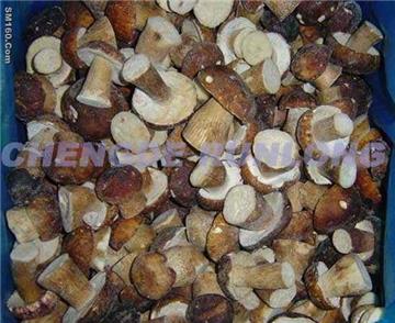 IQF BOLETUS EDULIS