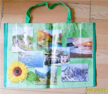 PP Woven Shopping Bag 