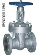Gate Valves (WZIPIE)
