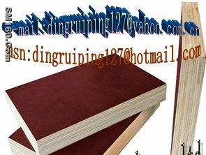 offer film face plywood(drp127@yahoo.com.cn) from china
