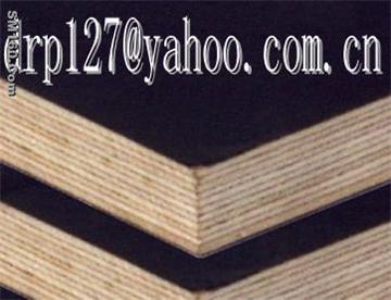 offer film face plywood(drp127@yahoo.com.cn) china