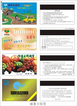 Magnetic Stripe Cards