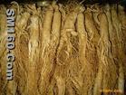 ginseng extract