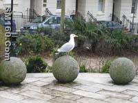 granite or marble balls