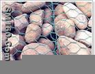 gabion mesh