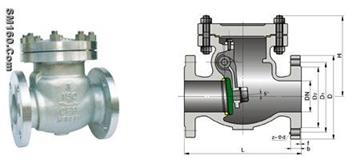ANSI Check Valves