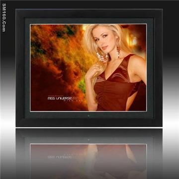15inch digital frame