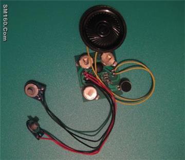 recordable module,sound module,recording module for cards