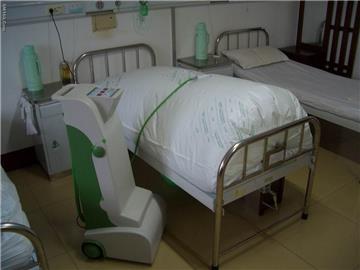 Bed unit ozone disinfector