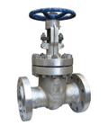 Gate Valves (WZIPIE)