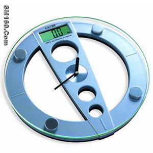Electronic Personal Scale