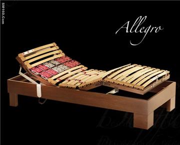Allegro electric bed