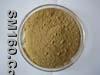 Tribulus Terrestris L Powder Extract 