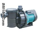 TW Swimming Pool Pump 
