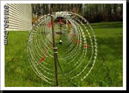 Concertina Wire