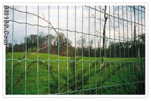 Euro Welded Fence