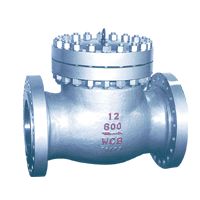 Check Valves of WZIPIE