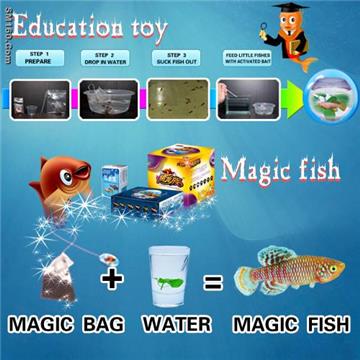 magic fish-unique gift or educational toy