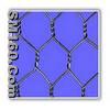 Hexagonal wire netting