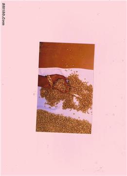 goldnuggets and diamonds