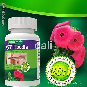 P57 Hoodia Cactus Slimming Capsule-China top herbal effective weight l