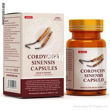 Powerful Anti aging Product - Cordyceps Sinensis Capsule