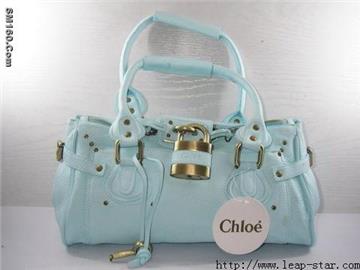 Fashion Women Handbags,Purse,Jewelry,Brand Decoration