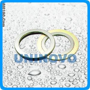 Spiral wound gasket