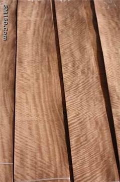 eucalyptus veneer