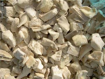 frozen mushroom cube