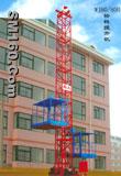 construction machinery WJ80/80 material hoist