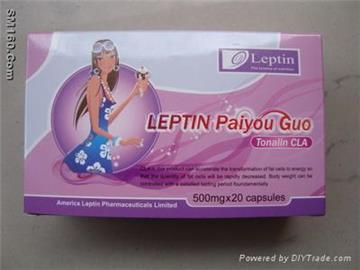 Leptin Paiyou Guo
