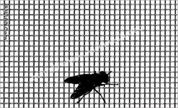 Stainless Steel Wire Mesh