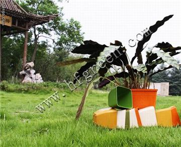 biodegradable flower pots