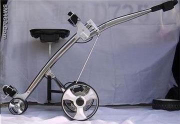 106E shark electrical golf buggy