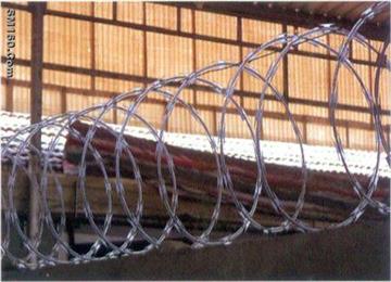Electrified Concertina Wire 