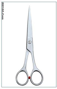 Professional Barber Scissors