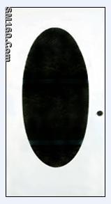 big oval pre-cut-out door