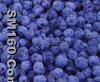 IQF wild blueberry