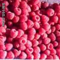 Red Raspberry Extract