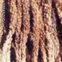  Boschniakia Rossica P.E.