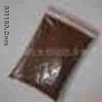 Pyrola Rotundifolia P.E