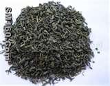 Green Tea Extract Powder