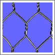hexagonal wire mesh