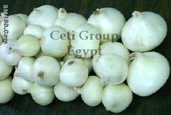 white onion