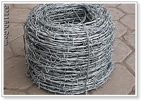 Barbed Wire 