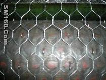 hexagonal wire netting
